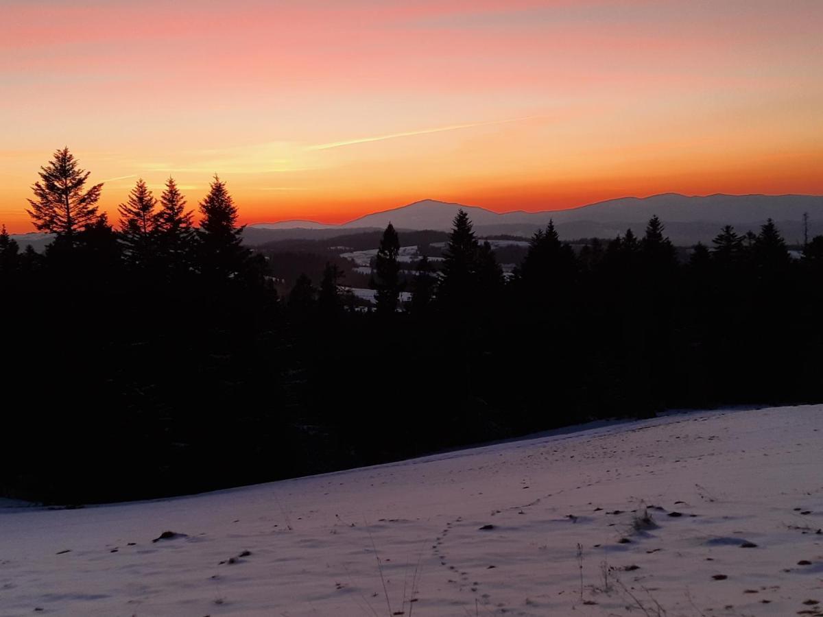 Domek Na Szlaku Rikardo Ponice Exteriör bild